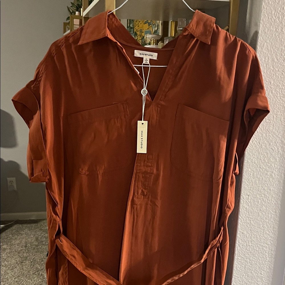Max Studio Rust Dress
